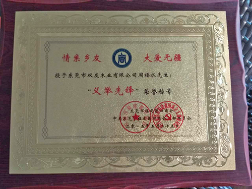 義舉先鋒稱(chēng)號證書(shū)